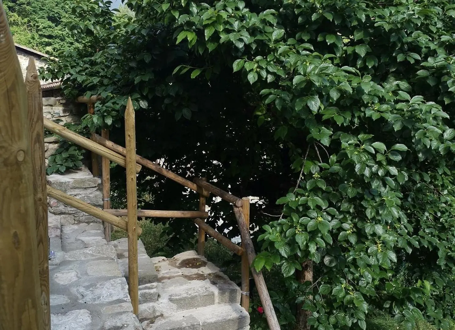 Casa Vacanze Carole Villa Fivizzano